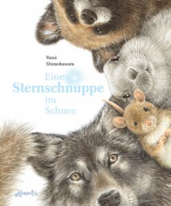 Buchcover: Eine Sternschnuppe im Schnee