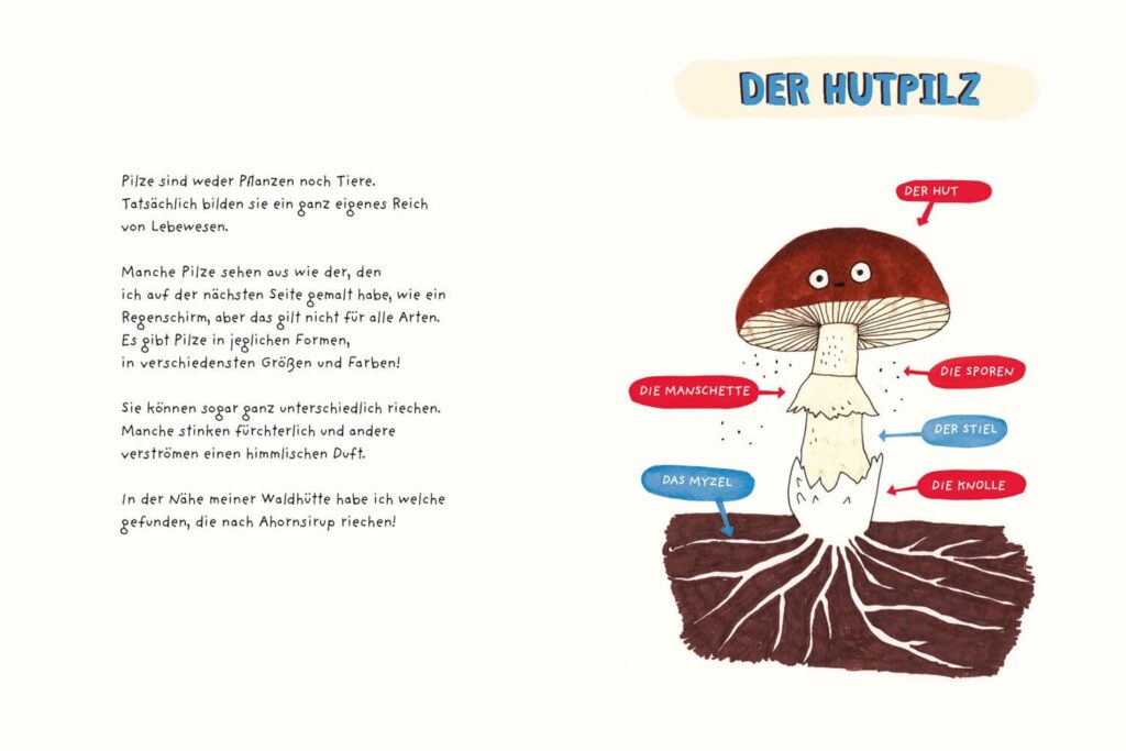 Pilzparade - Der Hutpilz: Dargestellt ist der Hutpilz mit seinen Merkmalen und Besonderheiten.