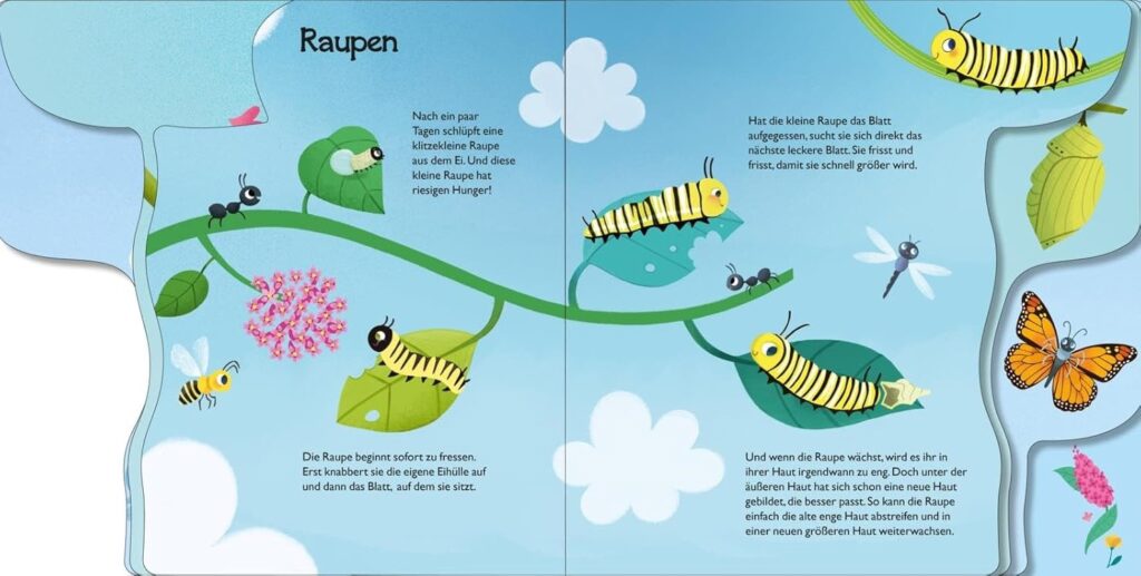 Von der kleinen Raupe zum Schmetterling - Raupen: Abgebildet ist ein Pflanzenstängel, auf dessen Blätter Raupen sitzen