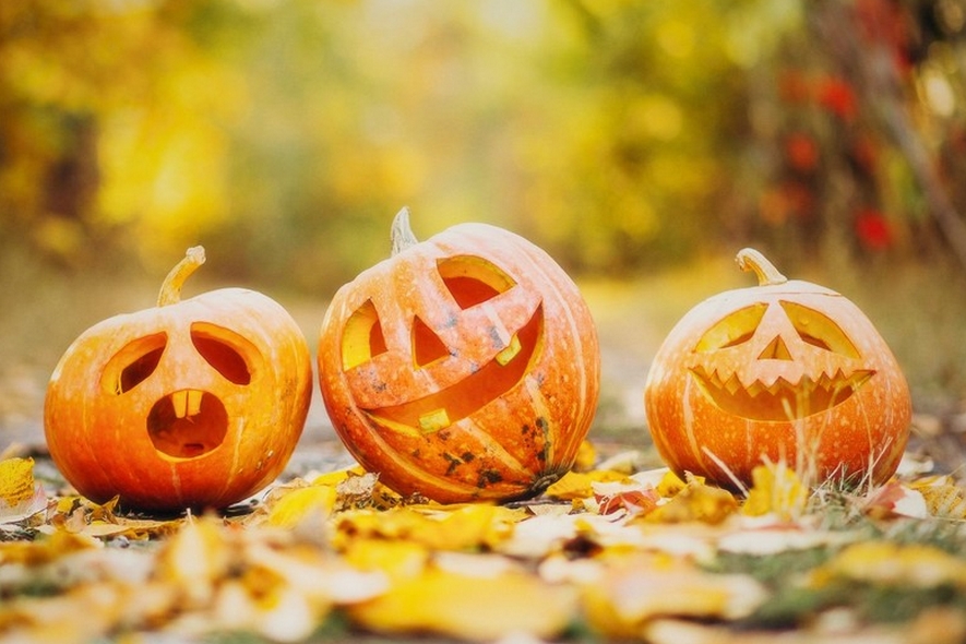 Halloween -Geheimnisse, Grusel und Geschichten: Abgebildet sind Kürbisse, Kerzen und Kinder, die mit den Kürbissen basteln.