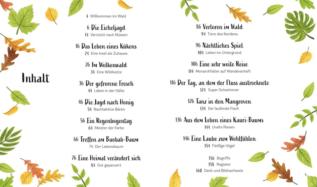 Zauber des Waldes - Inhaltsverzeichnis: Aufgezählt sind die Titel der 15 Vorlesegeschichten, die im Buch enthalten sind.