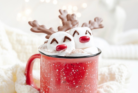 Beliebte Buchreihen - Adventskalenderbücher: Abgebildet ist eine Tasse mit Kakao und Marshmallows mit Elch-Dekoration.