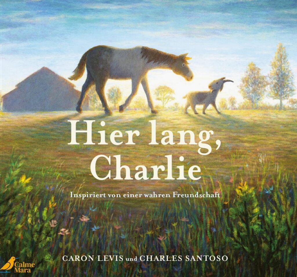 Buchcover: Hier lang, Charlie