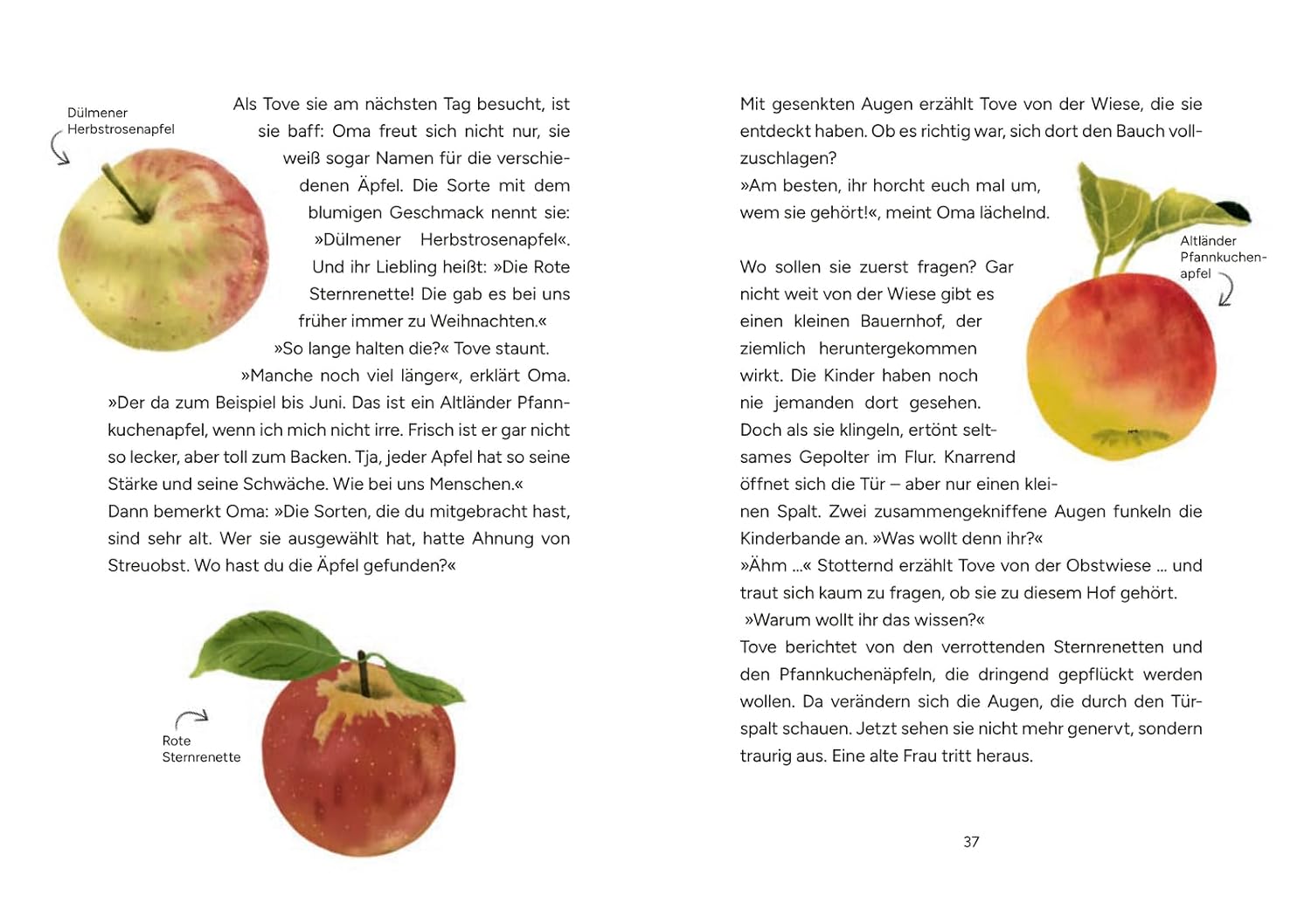 Hörst du's rascheln? Der Herbst ist da! - Apfelsorten: Abgebildet neben dem Text sind verschiedene Äpfel.