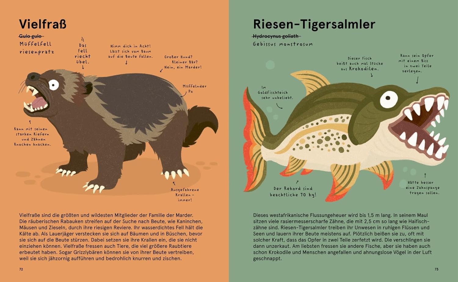 Das Lexikon gruseliger Tiere - Vielfraß und Riesen-Tigersalmler: Dargestellt sind zwei Tiere sowie Text mit Informationen zu diesen.