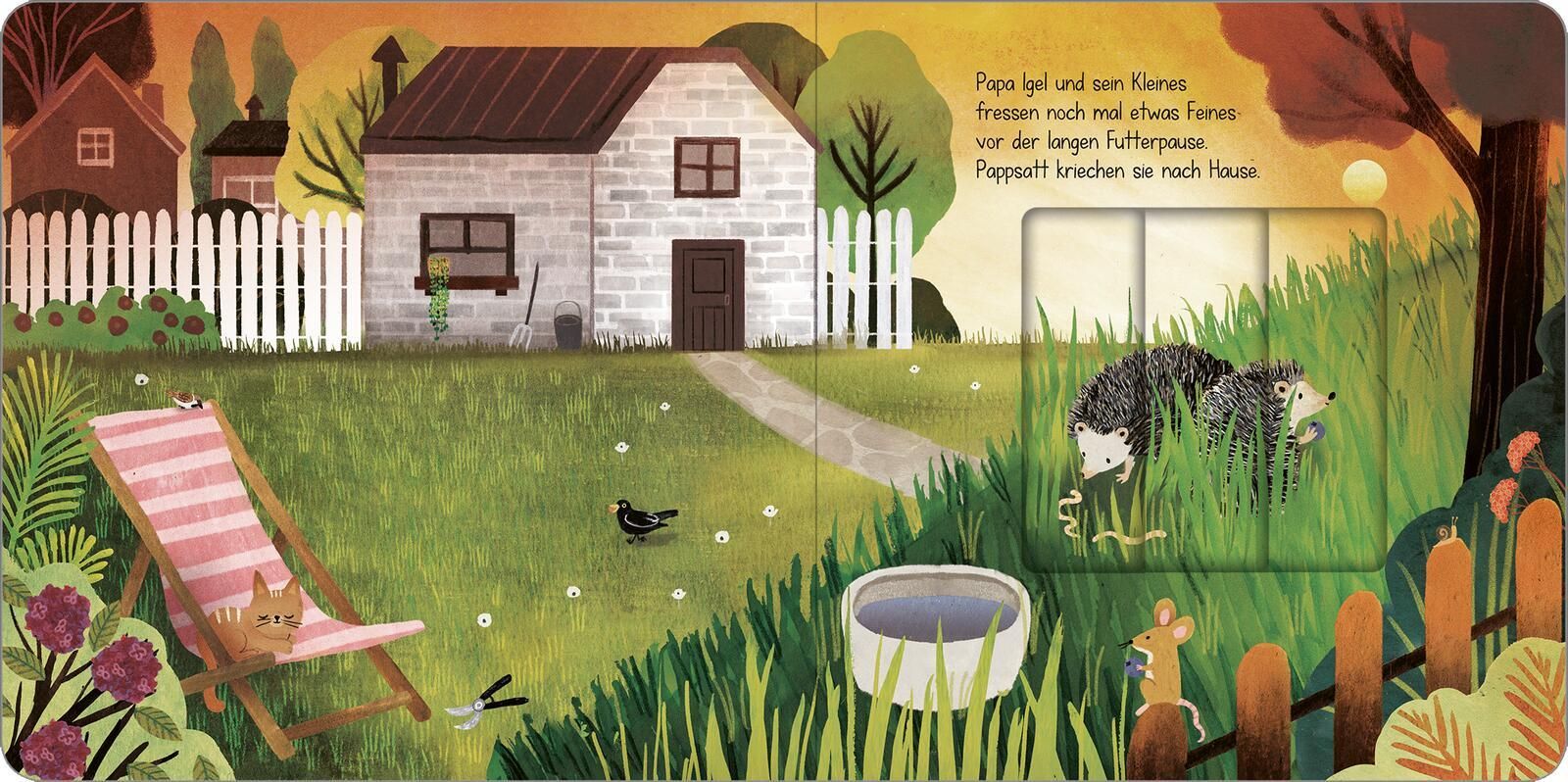 Wenn im Herbst die Blätter fallen - Igel im Gras: Zu sehen sind zwei Igel im Garten hinter einem Haus.