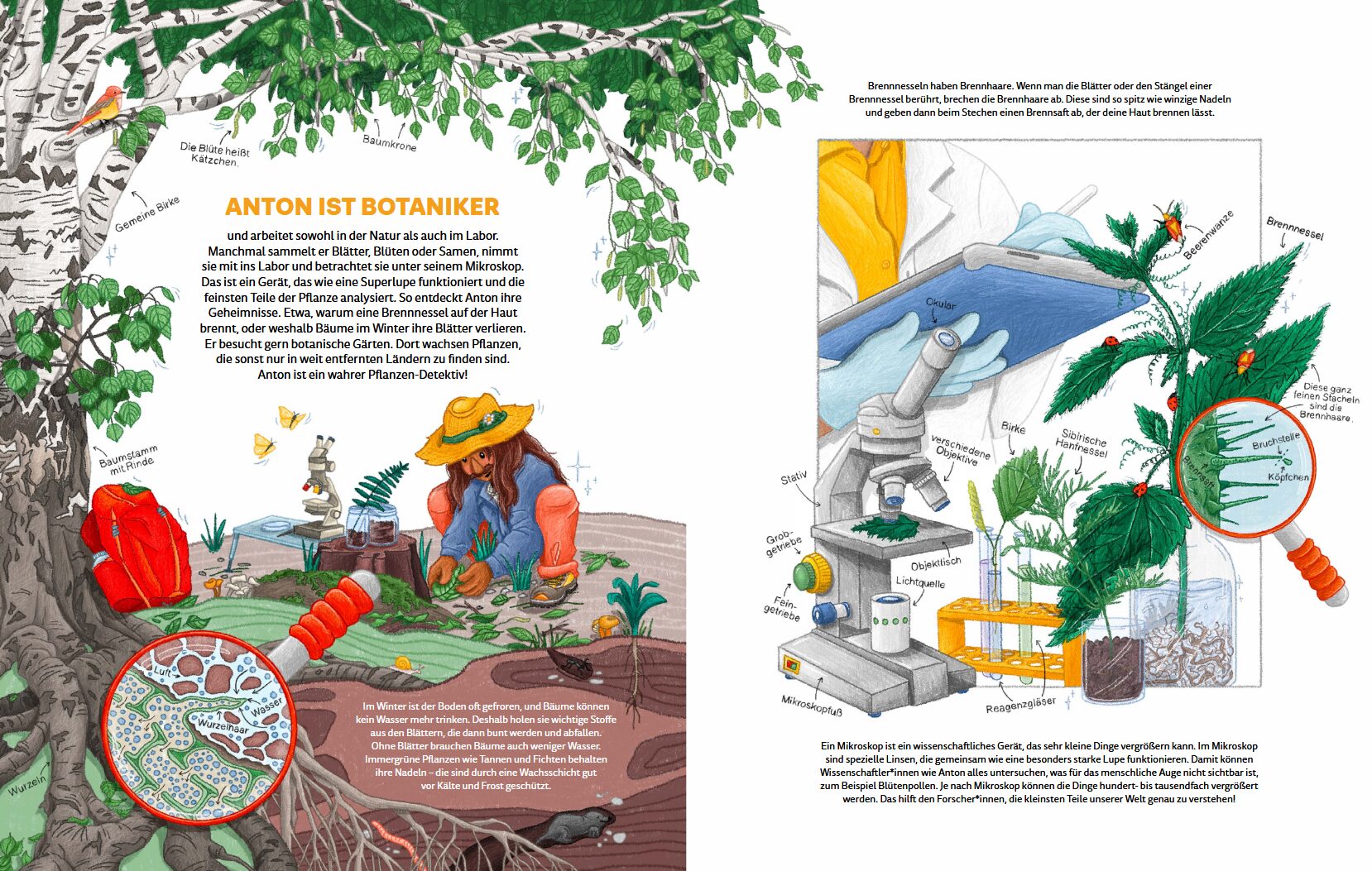 Wir forschen! - Botanik: Abgebildet ist ein Mann, der auf der Erde sitzt und gräbt, umgeben von vielen Pflanzen.