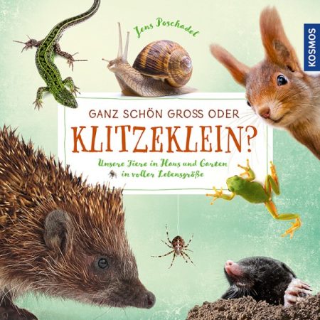 Buchcover: Ganz schön groß oder klitzeklein? - Unsere Tiere in Haus und Garten in voller Lebensgröße