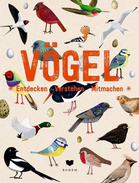 Buchcover: Vögel - Entdecken - Verstehen - Mitmachen