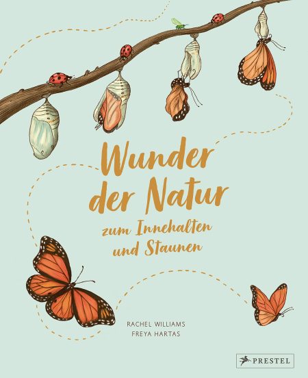 Buchcover: Wunder der Natur zum Innehalten und Staunen