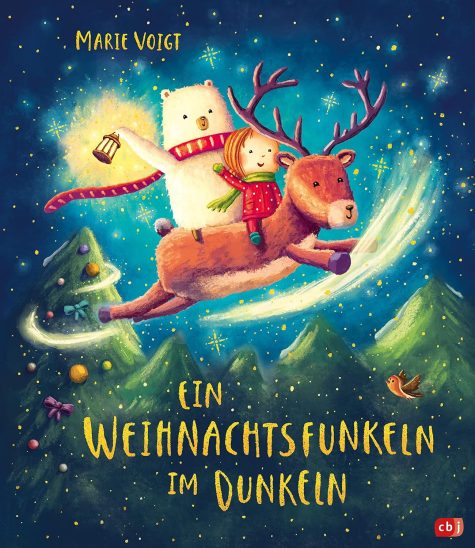 Buchcover: Ein Weihnachtsfunkeln im Dunkeln